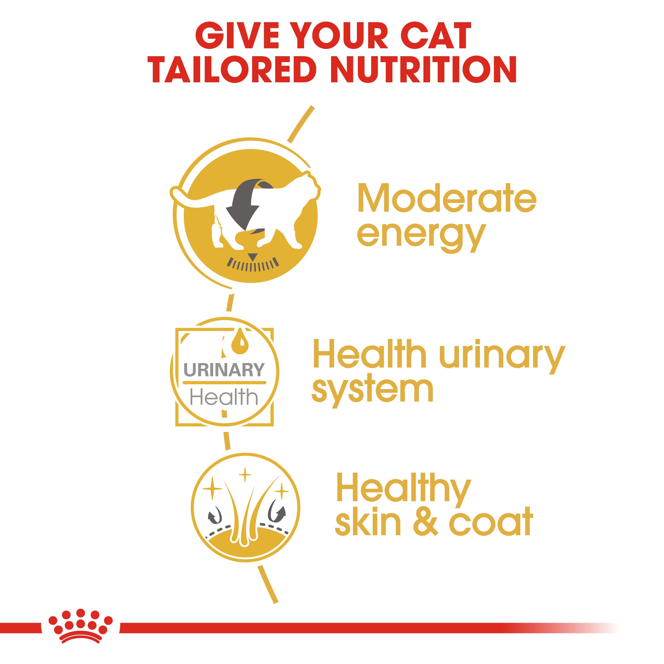Royal Canin British Shorthair in Gravy Adult Wet Cat Food, 85g x 12 Pack