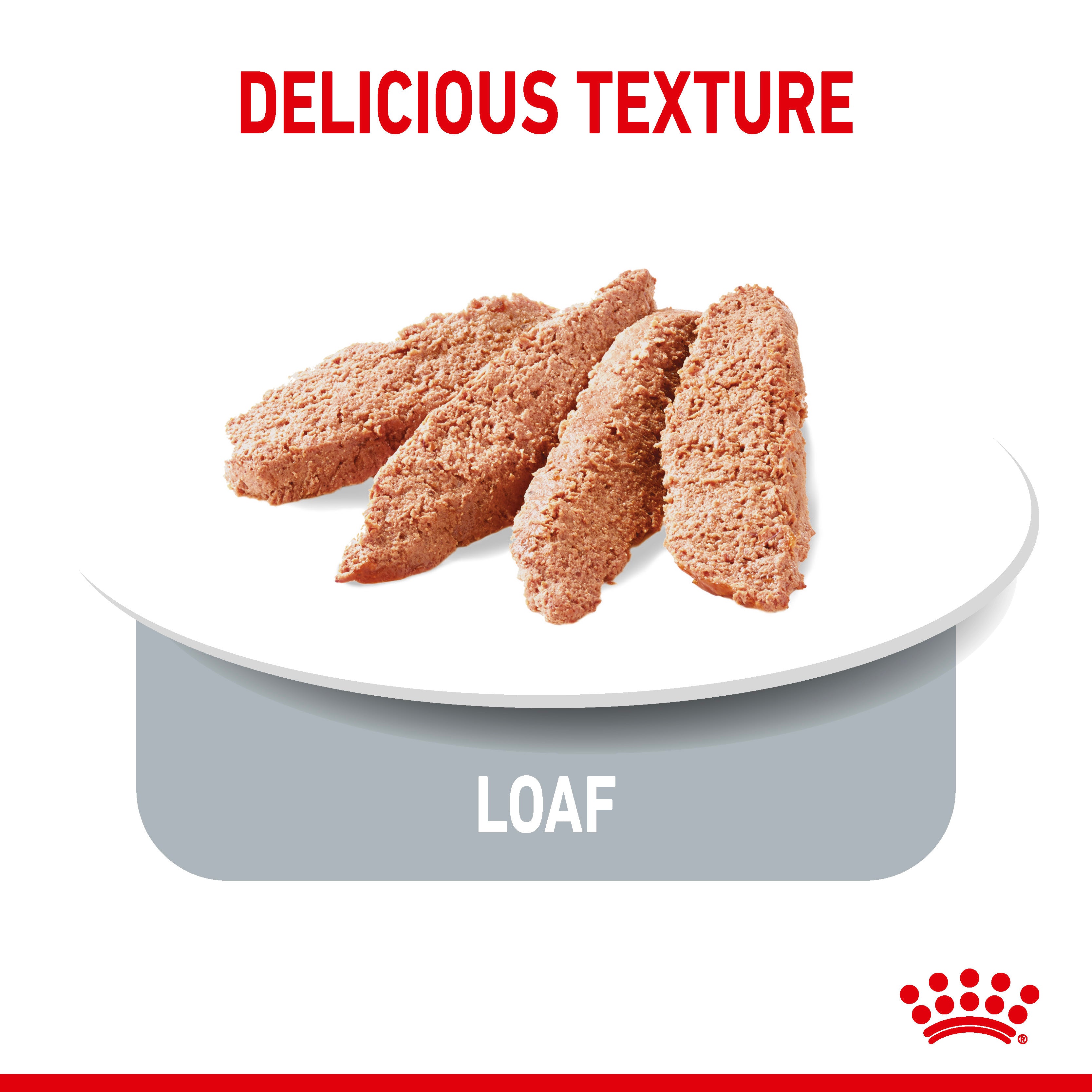 Royal Canin Light Weight Care Wet Pouches Adult Dog Food in Loaf, 85g x 12 Pack