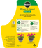 Pour & Feed Ready to Use Plant Food 3 litres