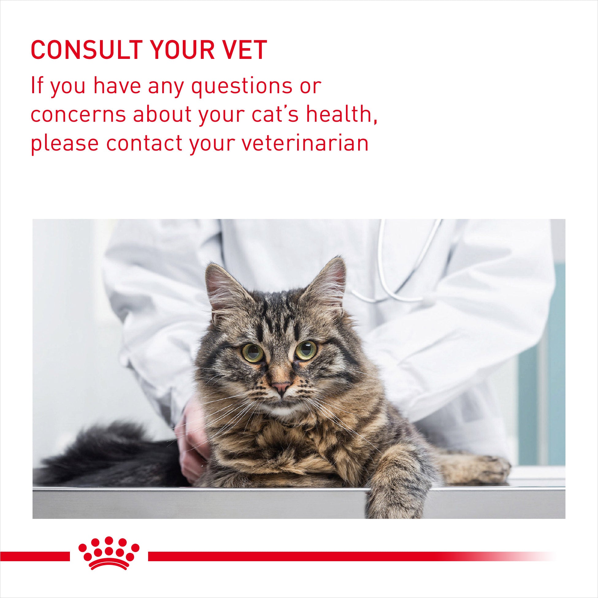 Royal Canin Light Weight Care in Gravy Adult Wet Cat Food, 85g x 12 Pack