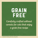 Grain Free Adult Cat Lamb in Gravy Pouch 12 x 85g