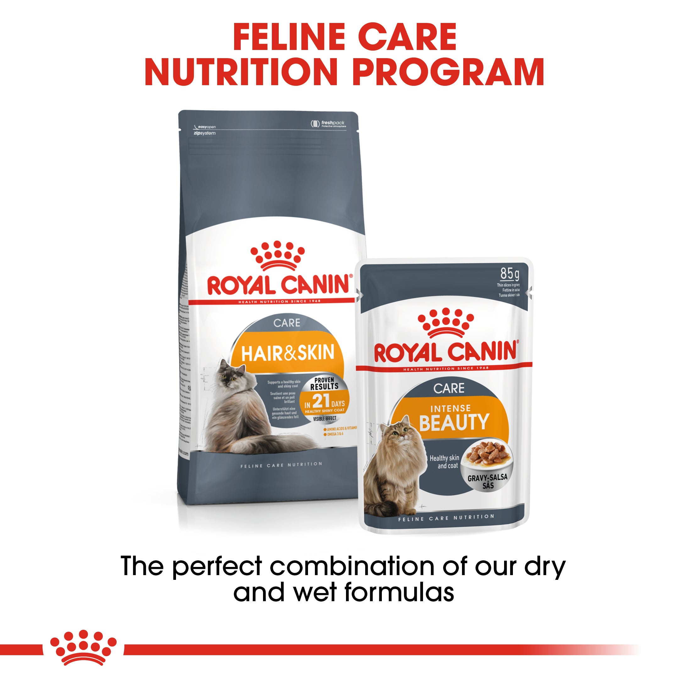 Royal Canin Intense Beauty Care In Gravy Adult Wet Cat Food, 85g x 12 Pack