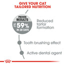 Royal Canin Oral Care Adult Dry Cat Food, 400g