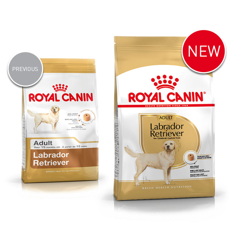 Royal canin best sale labrador food