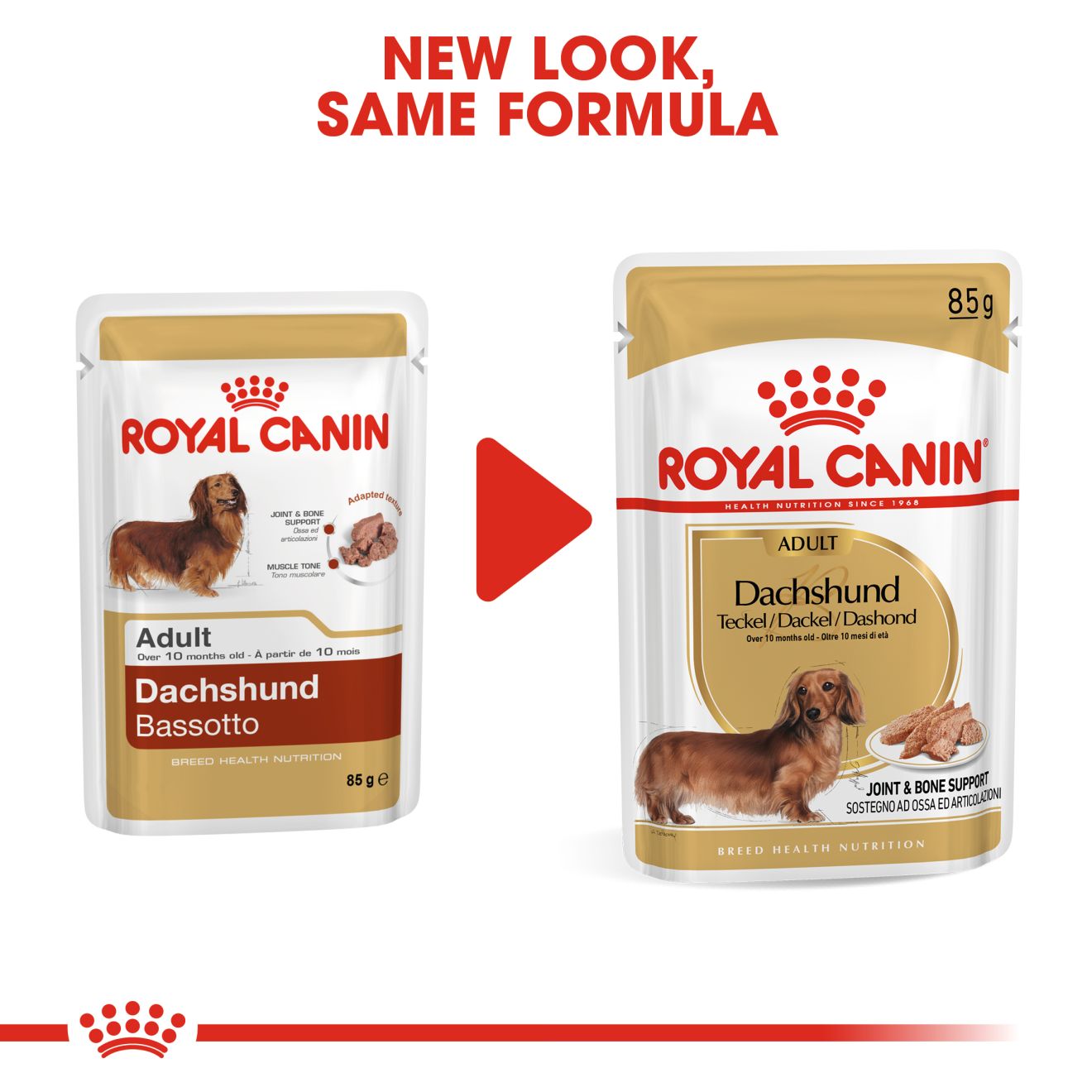 Royal Canin Dacshund Adult Wet Dog Food in Loaf, 85g x 12 Pack