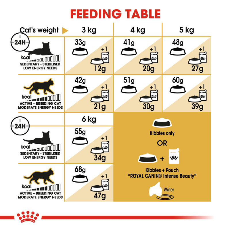 Royal Canin Siamese Adult Dry Cat Food, 4kg x 4 Pack