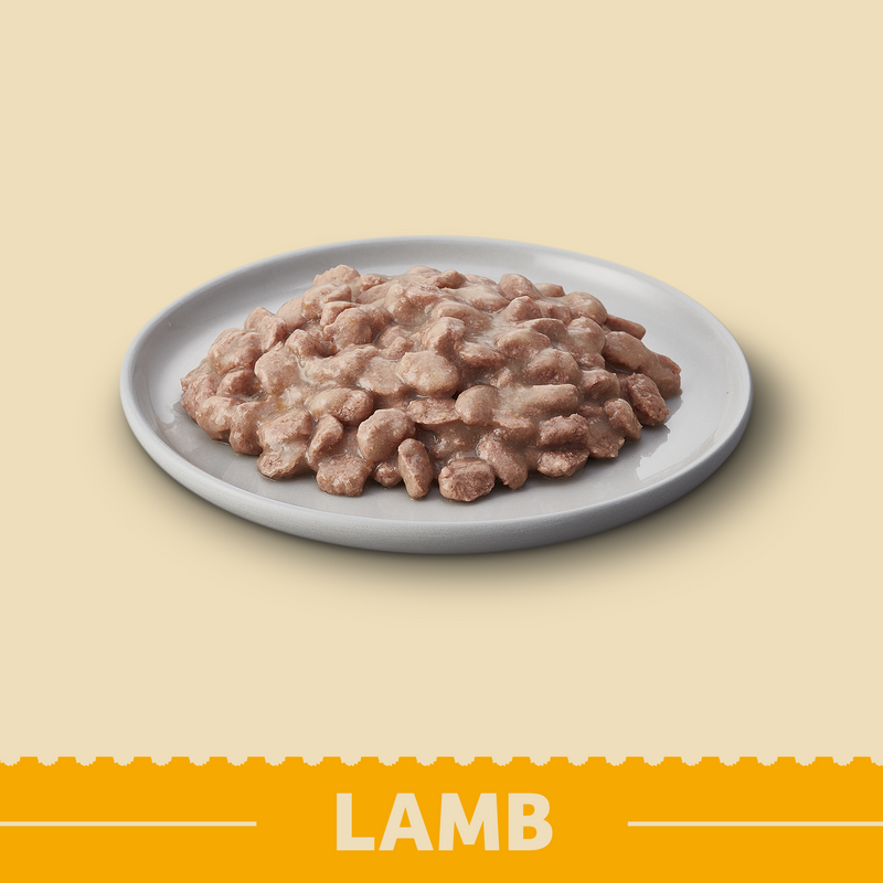 Grain Free Adult Cat Lamb in Gravy Pouch 12 x 85g