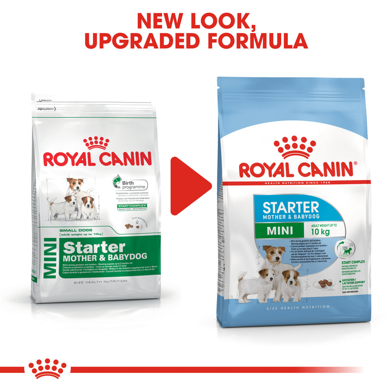 Royal Canin Mini Starter Mother & Babydog Adult and Puppy Dry Food, 1kg x 10 Pack
