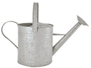 Fallen Fruits Old Zinc Watering Can, 3.6 Litre