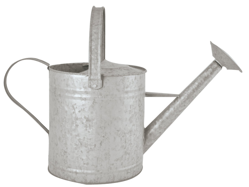 Fallen Fruits Old Zinc Watering Can, 3.6 Litre