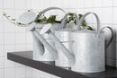 Fallen Fruits Old Zinc Watering Can, 3.6 Litre