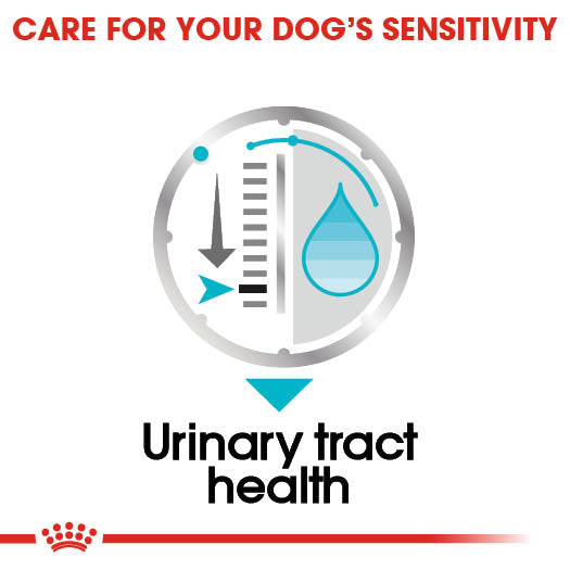 Royal Canin Urinary Care Wet Pouches Adult Dog Food in Loaf, 85g x 12 Pack