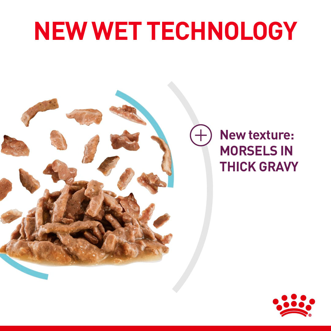 Royal Canin Royal Canin Sensory Feel In Gravy Adult Wet Cat Food, 85g x 12 Pack