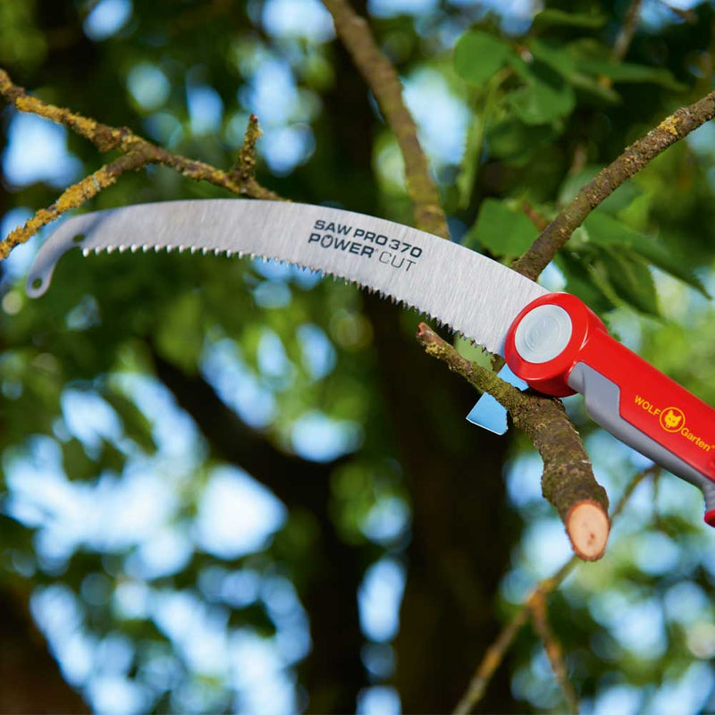 Professional Pruning Saw