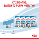 Royal Canin Starter Mother & Babydog Adult and Puppy Wet Food Mousse, 195g