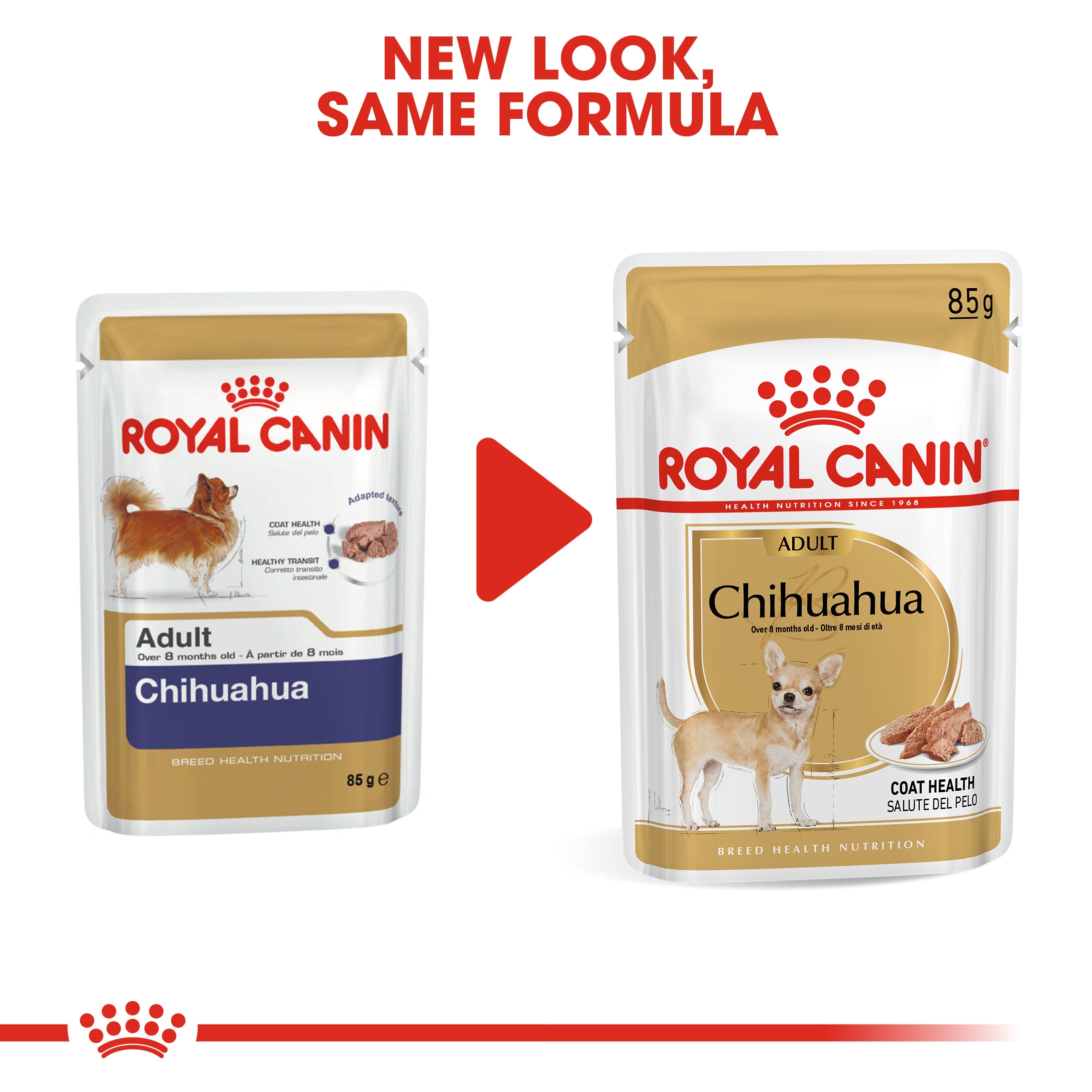 Royal Canin Chihuahua Adult Wet Dog Food In Loaf, 85g x 12 Pack