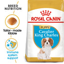 Royal Canin Cavalier King Charles Puppy Dry Food, 1.5kg x 6 Pack