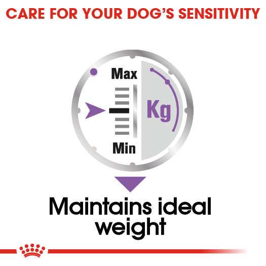 Royal Canin Sterilised Care Wet Pouches Adult Dog Food in Loaf, 85g x 12 Pack