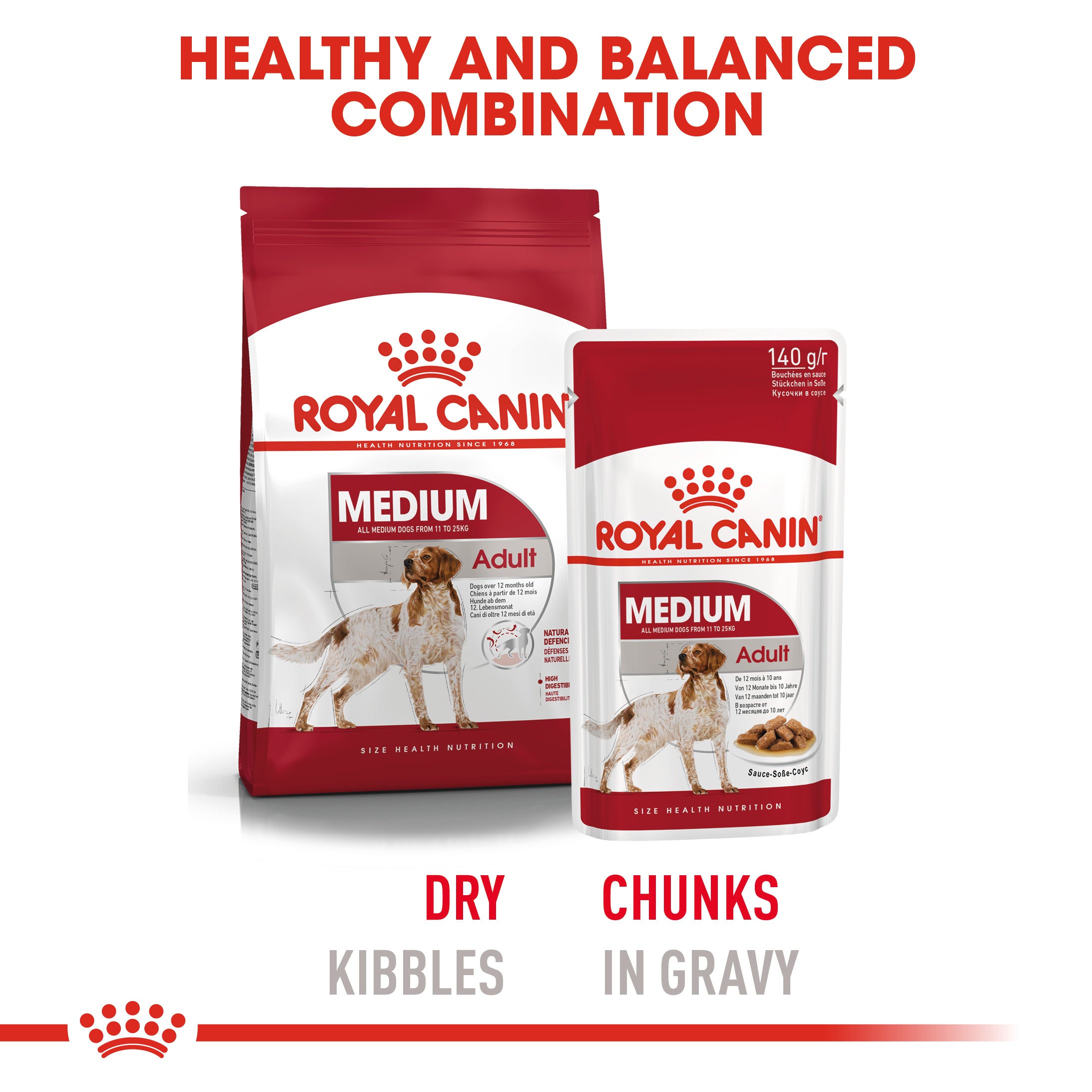 Royal Canin Medium Adult in Gravy Wet Dog Food, 140g x 10 Pack