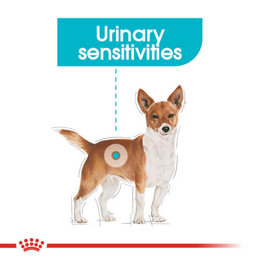 Royal Canin Urinary Care Wet Pouches Adult Dog Food in Loaf, 85g x 12 Pack