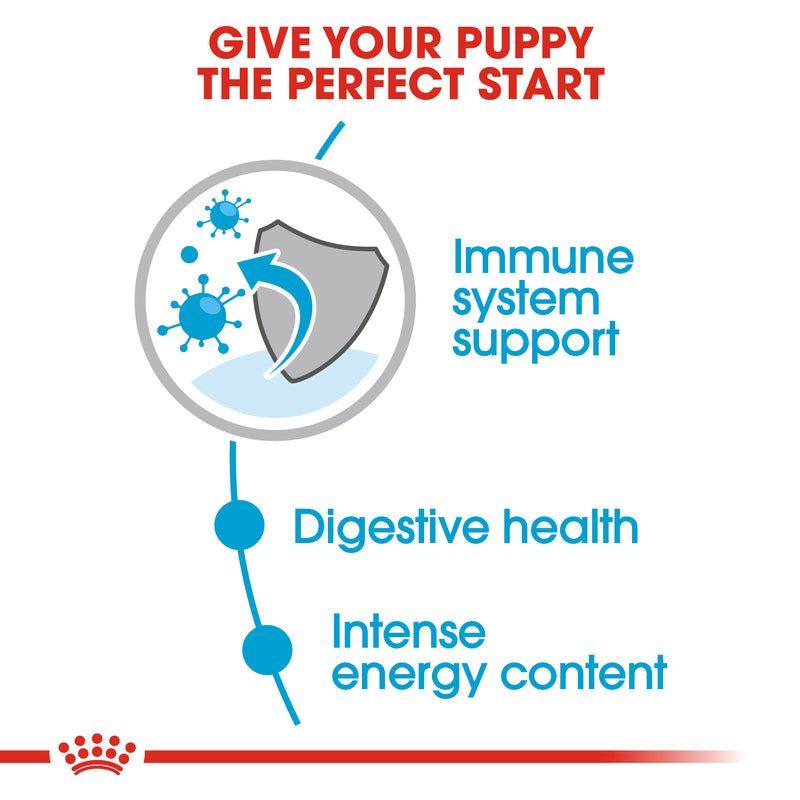 Royal Canin Mini Puppy in Gravy Wet Food, 85g