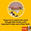 Pedigree DentaStix Daily Dental Chews Medium Dog 112 Sticks