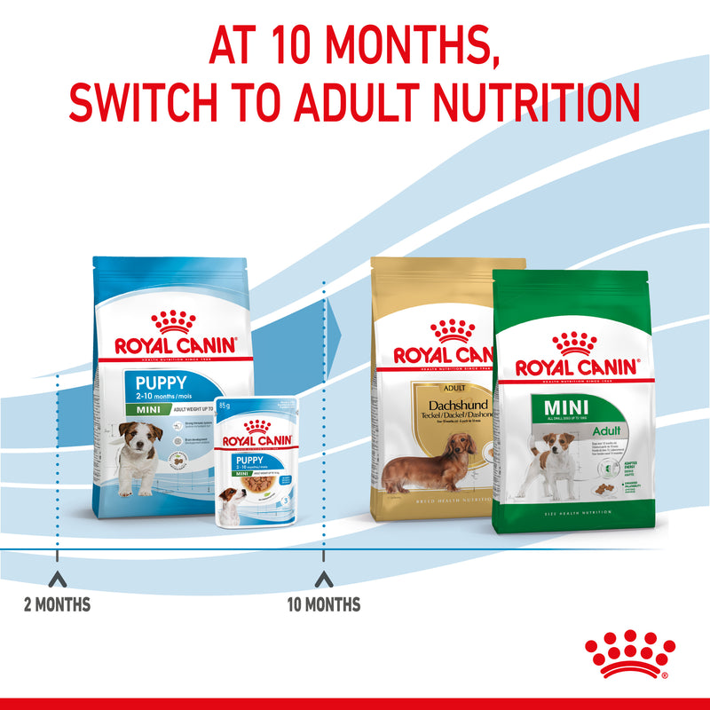 Royal canin hotsell mini junior 800g