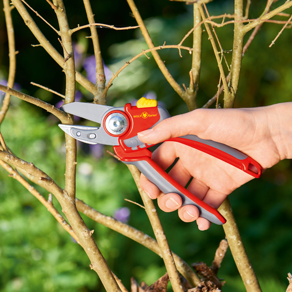 Wolf Garten Anvil Secateurs