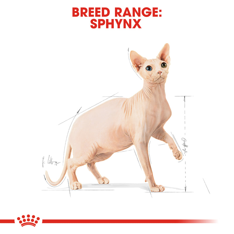 Royal Canin Sphynx Adult Dry Cat Food, 10kg