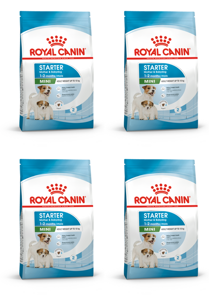 Royal canin mini starter clearance dog food