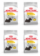 Royal Canin Mini Dermacomfort Adult Dry Dog Food, 3kg x 4 Pack