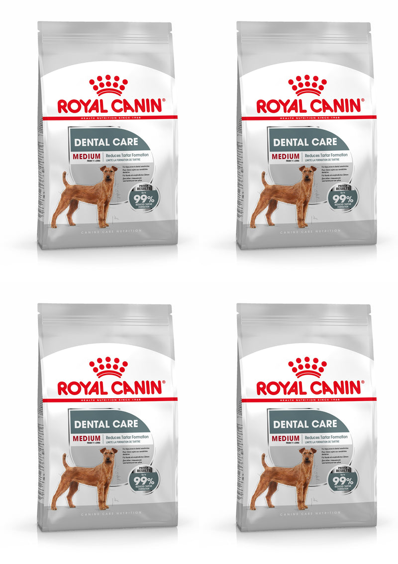 Dental dog on sale food royal canin