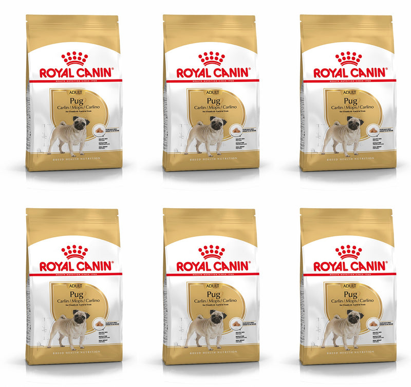 Royal canin pug clearance adult dry dog food