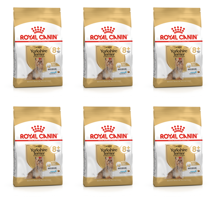 Royal canin breed health nutrition shop yorkshire terrier adult dry dog food