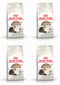 Royal Canin Ageing 12+ Adult Dry Cat Food, 4kg x 4 Pack