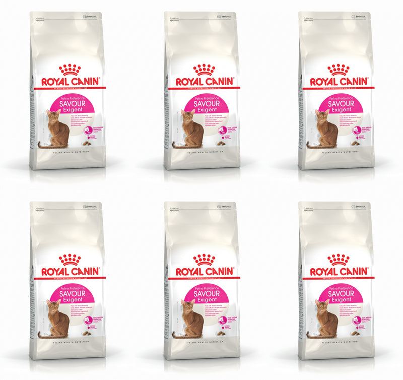 Royal Canin Savour Exigent Adult Dry Cat Food, 2kg x 6 Pack