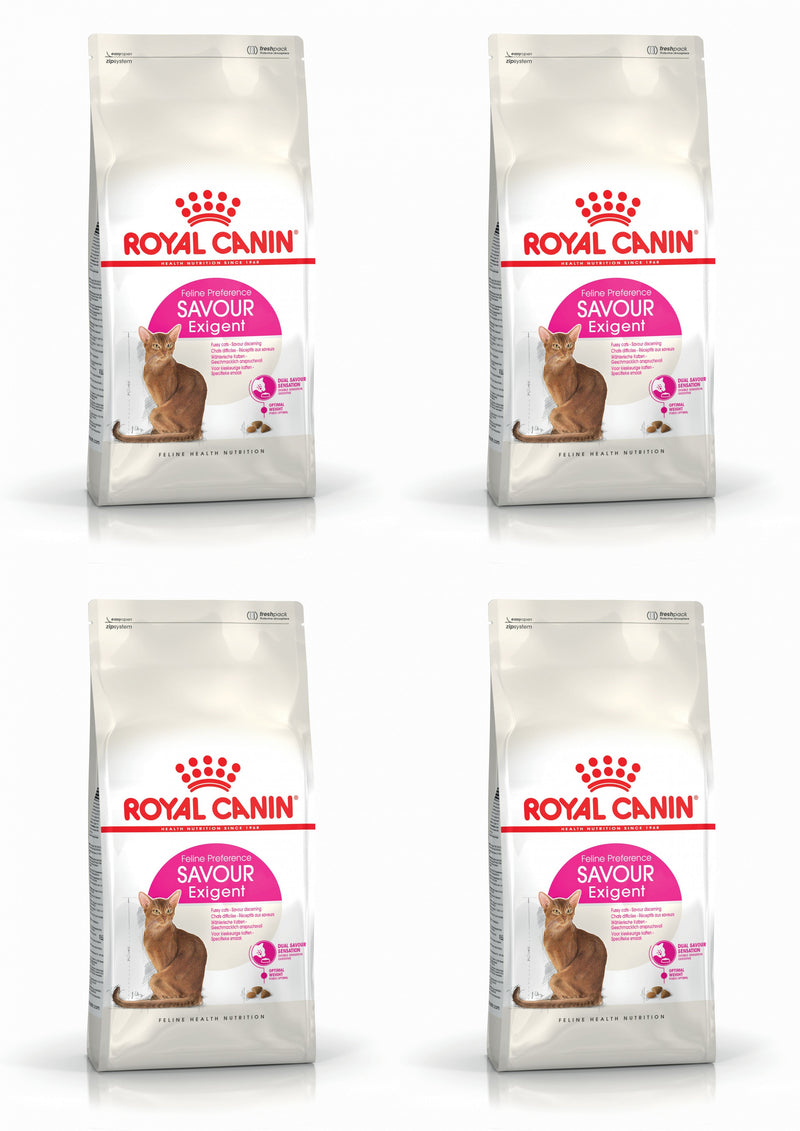 Royal canin outlet outdoor 4kg