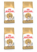 Royal Canin Siamese Adult Dry Cat Food, 4kg x 4 Pack