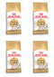 Royal Canin Siamese Adult Dry Cat Food, 4kg x 4 Pack