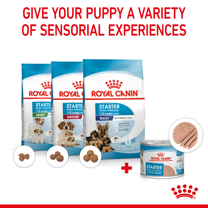 Royal canin medium starter mother and baby outlet dog