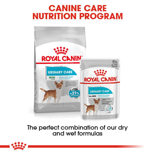 Royal Canin Urinary Care Wet Pouches Adult Dog Food in Loaf, 85g x 12 Pack