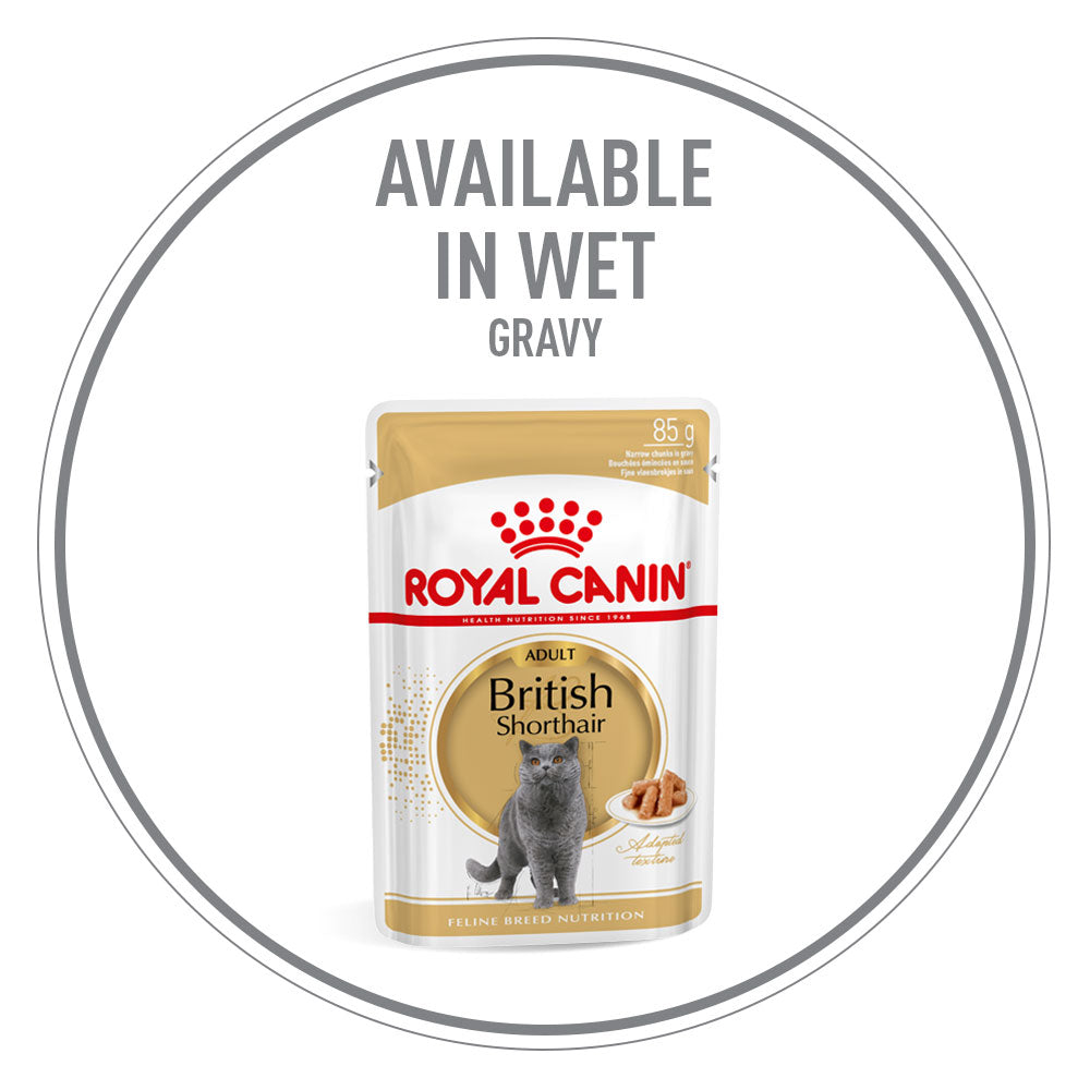 Royal Canin British Shorthair in Gravy Adult Wet Cat Food, 85g x 12 Pack