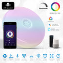 Ener-J Wi-Fi Ceiling Lights 24W, RGB+W+WW, Dimmable with Bluetooth Speaker