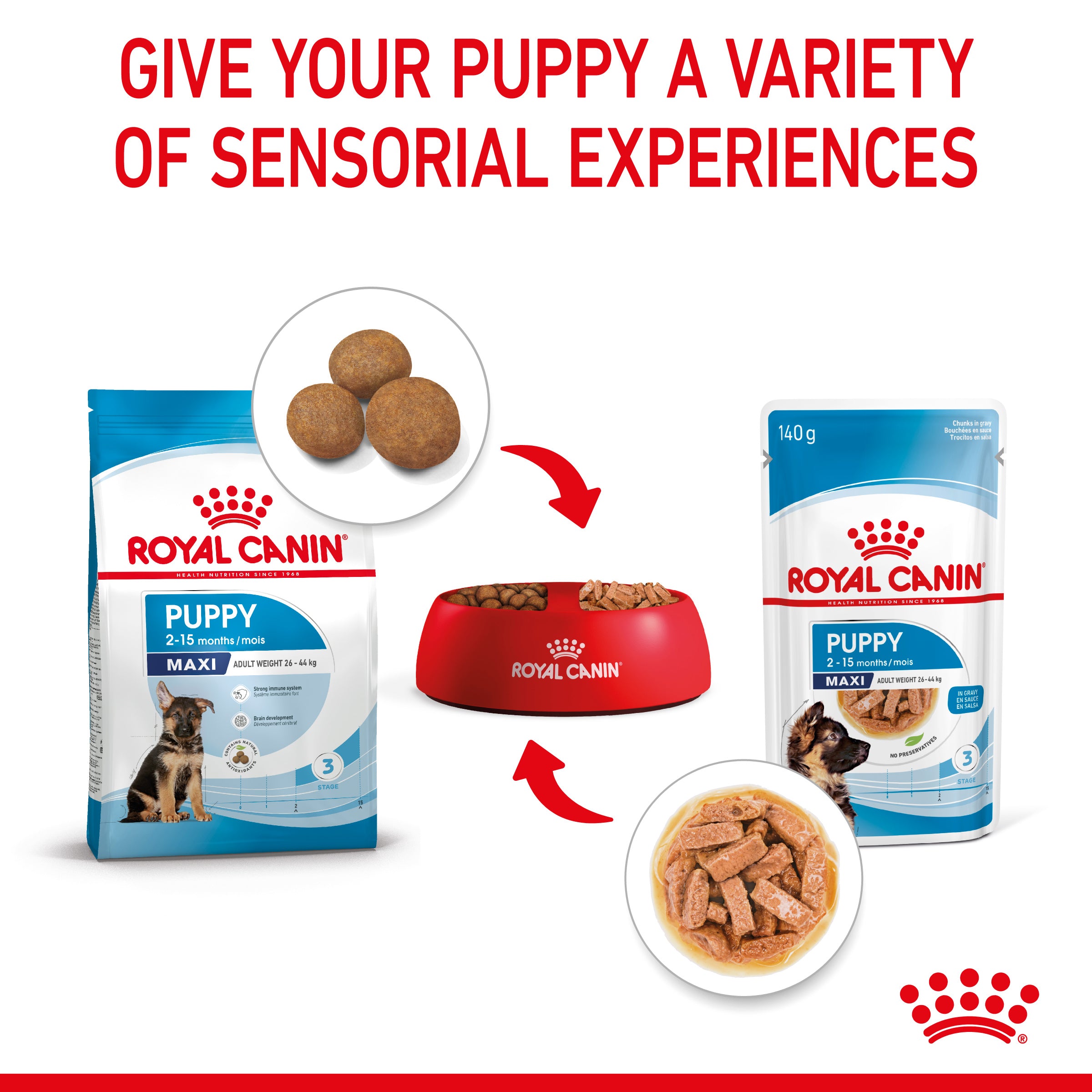 Royal Canin Maxi Puppy in Gravy Wet Food, 140g x 10 Pack