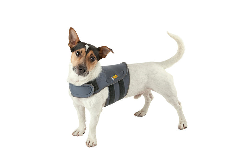 Petlife Karma Wrap Anti-Anxiety Dog Calming Vest, Large, Grey