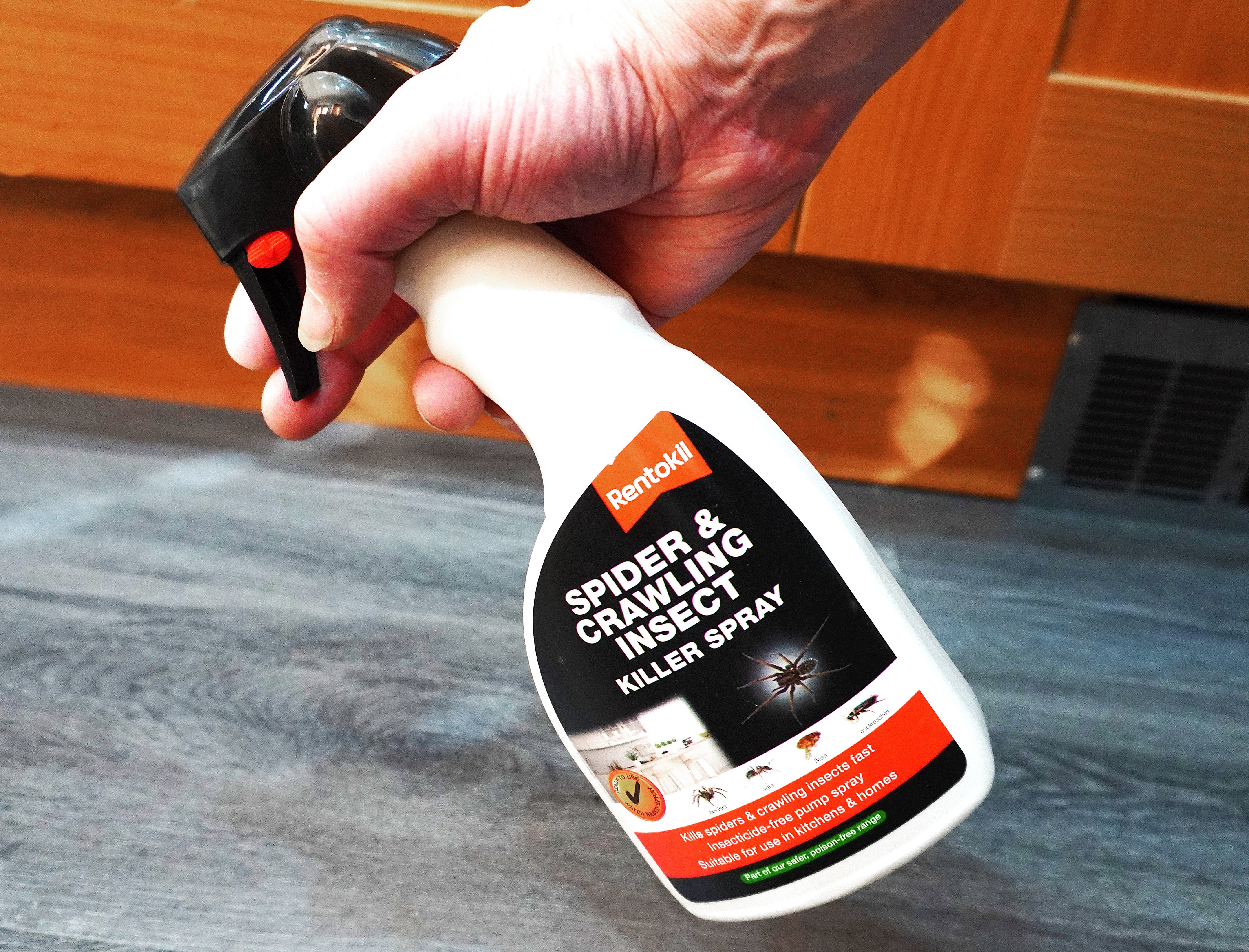 Rentokil Spider and Crawling Insect Killer Spray 500ml