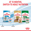 Royal Canin Mini Puppy in Gravy Wet Food, 85g