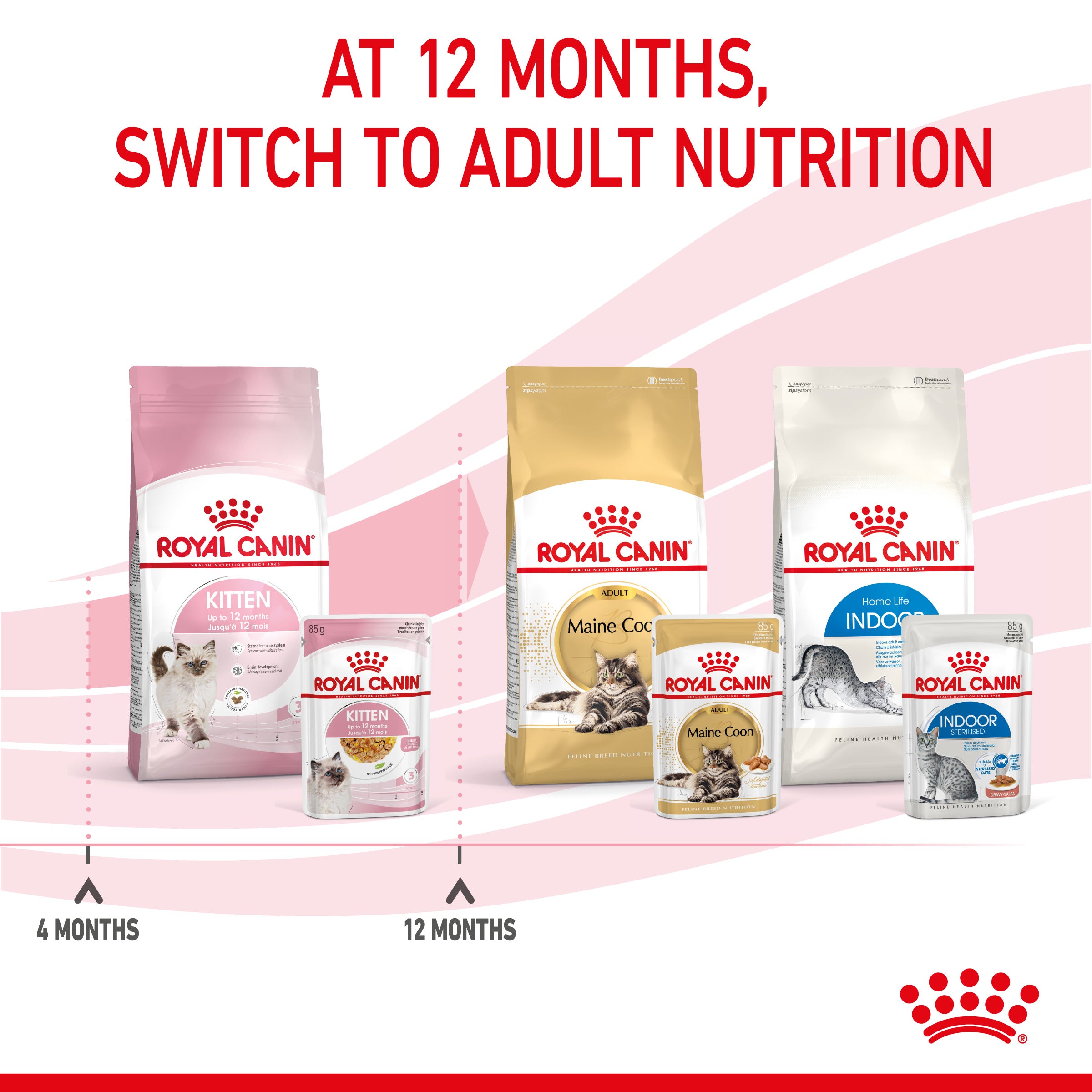 Royal Canin Kitten In Jelly Wet Food, 85g x 12 Pack