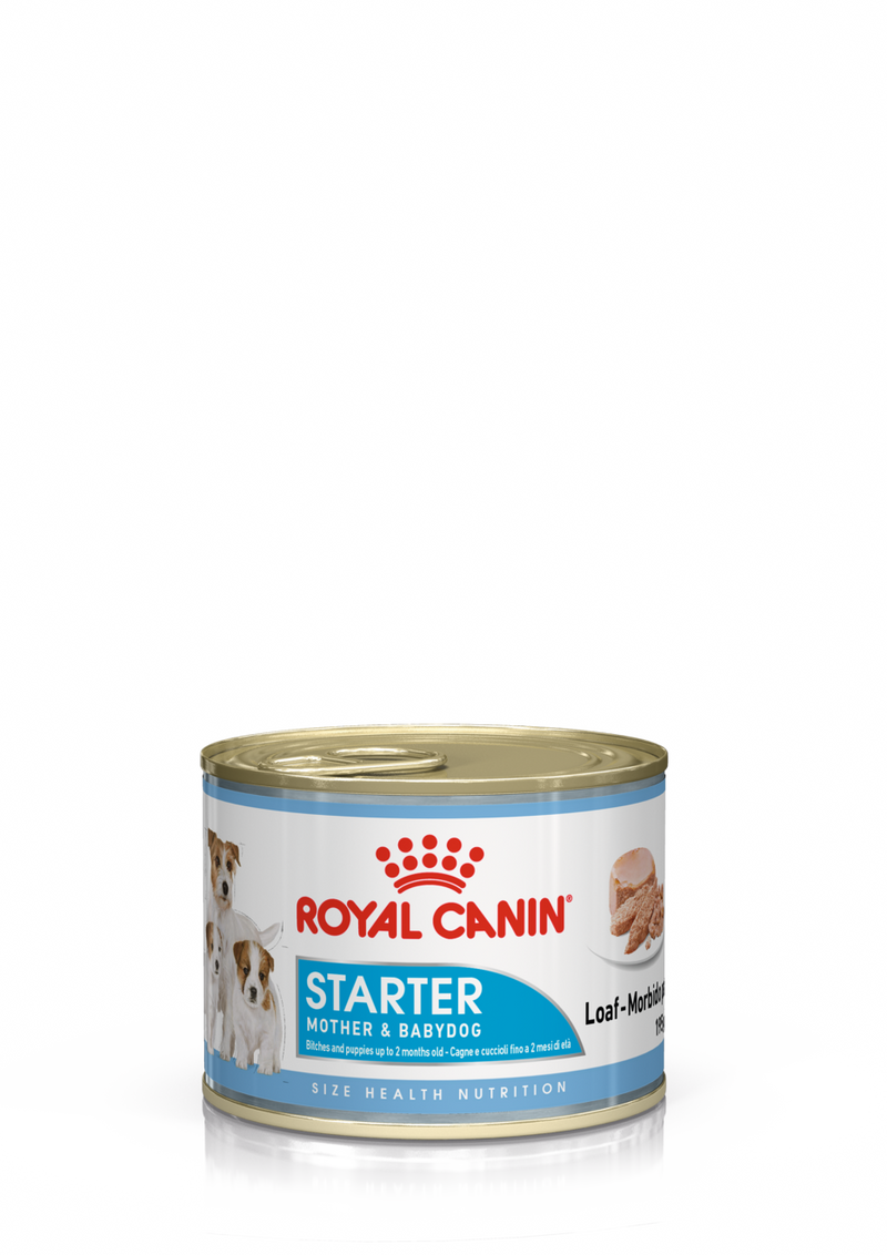 Royal Canin Starter Mother & Babydog Adult and Puppy Wet Food Mousse, 195g