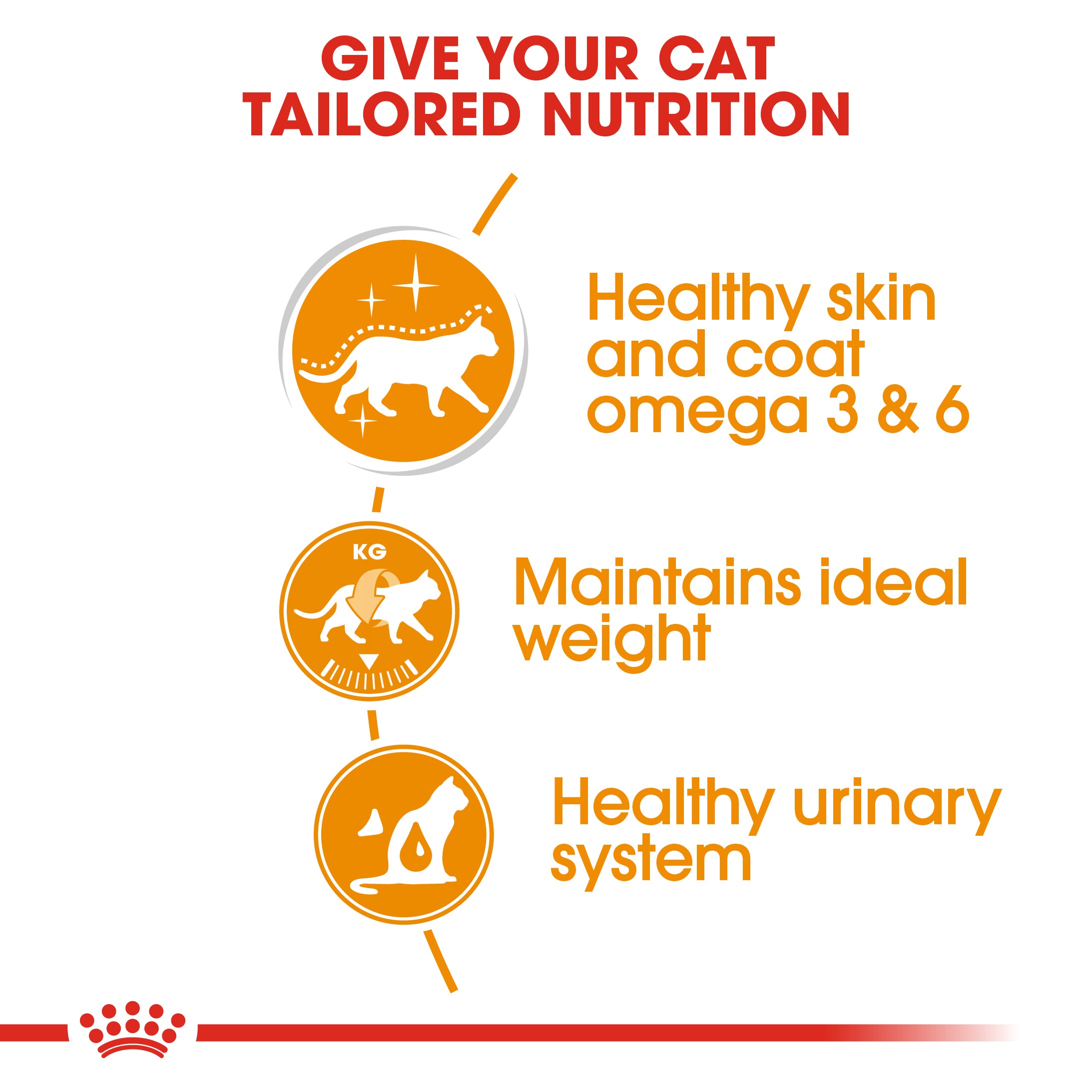 Royal Canin Intense Beauty Care In Gravy Adult Wet Cat Food, 85g x 12 Pack